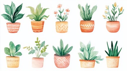 Watercolor painting style illustration of cute collection of boho flower pot plants set in various shapes and designs in a bright and colorful display