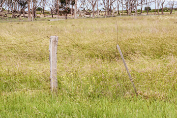 rural landscape of old farm fence with tangled wire in field