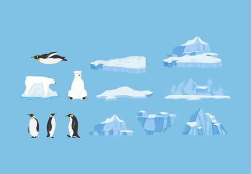 Colorful Iceberg Penguin Polar Illustrations Set