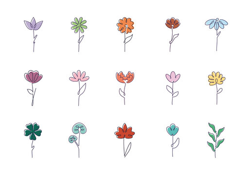Colorful One Line Flowers Botanical Floral Minimal Illustrations Set