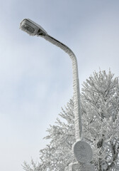 Mit Reif &uuml;berzogene Stra&szlig;enlaterne