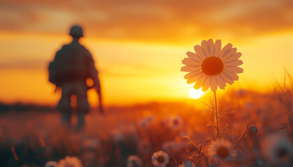 Chamomile flower in sharp focus surrounded by flying debris with soldier's silhouette blurred against dramatic golden sunset. Highlights vivid colors, contrasting fragility of flower with resilience.