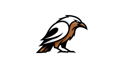 Obraz premium Adobe Illustrator Artwork