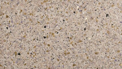 Terrazzo surface featuring a speckled pattern with beige, brown, and purple chips, creating a textured and decorative background, design and