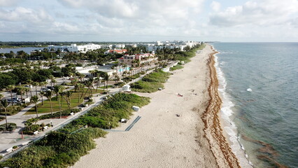 Aerial view of a serene beach where the tan sand meets the deep blue sea, with lush greenery and buildings lining the coast, West Palm Beach, Florida, United States.