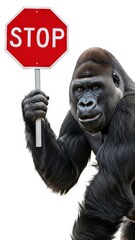 gorilla holding a red stop sign, road sign, solid white background