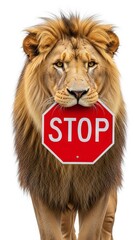lion holding a red stop sign, road sign, solid white background
