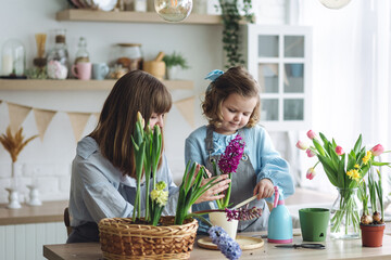 Earth day concept. Little cute girl with mother planting spring bulb flowers hyacinth, tulips at home in a kitchen. Springtime gardening, eco friendly hobby, recreation. Family time, sustainable habit