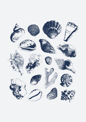 Vector tropical underwater style poster of seashells and corals collection Isolated on white background. Card for interior design, prints, fabric or background.