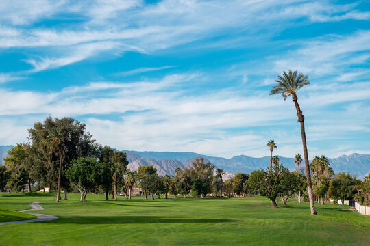 Desert Golf Course in Indio California