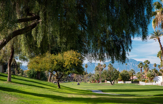 Desert Golf Course in Indio California
