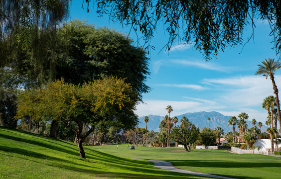 Desert Golf Course in Indio California