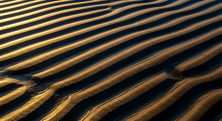 Sand Ripples Golden Light Abstract Diagonal Pattern