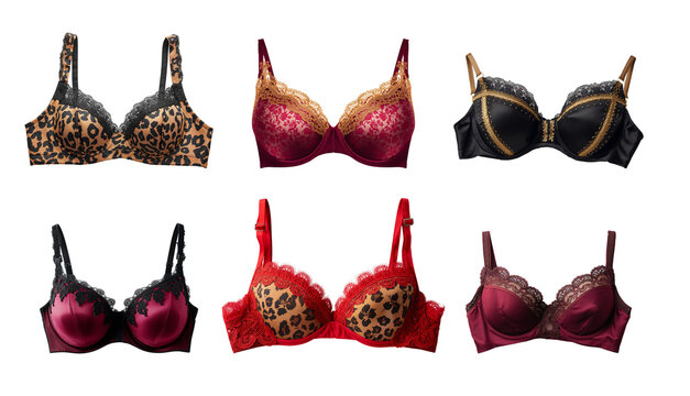Beautiful leopard print, black, red  bra isolated on transparent background