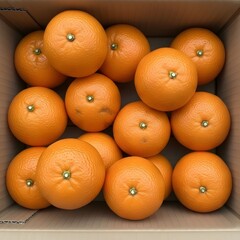 oranges