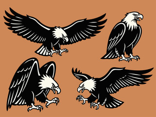 Obraz premium Four powerful bald eagle illustrations in various dynamic poses, showcasing their majestic and predatory nature.