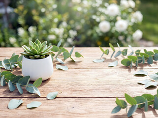 a vibrant succulent plant in a small white pot on a rustic wooden table, surrounded by scattered eucalyptus leaves and white flowers
