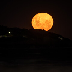 luna de lobo en ascenso sobre los acantilados 