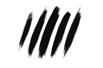 Black paint brush strokes on transparent background