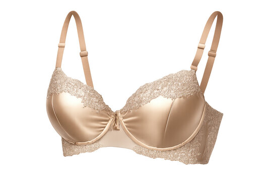 Elegant lace bra lingerie product photo on a transparent background