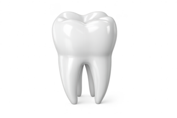 Isolated molar tooth on transparent background in dental 3D rendering.