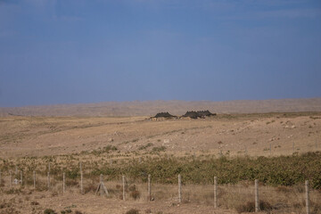 Bedouin Tents in Rural Kudistan