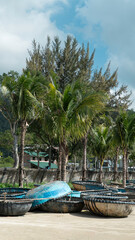 Traditional Vietnamese basket boats on a sandy tropical beach with palm trees. Coastal fishing culture, travel and tourism concept in Vietnam, sunny day and calm atmosphere.
