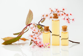 Essence of flowers on table in beautiful glass jar