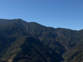 A calm minimalist scene of a single tree on a small hill under a soft pastel sky, with gentle light and a peaceful mood