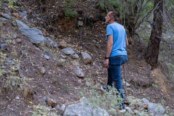 Man Hiking Through a Green Forest. Solo Hiker Spending Time in Nature. Man Walking in the Forest Enjoying Nature. Outdoor Walk in the Forest for Relaxation.
