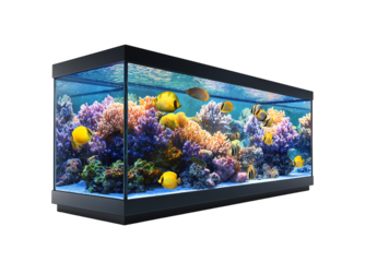 Vibrant Saltwater Aquarium Tank with Tropical Fish and Colorful Coral Reef  Isolated on Transparent Background