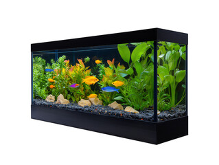  aquarium featuring colorful tropical fish, lush aquatic plants, and natural decor Isolated on Transparent Background