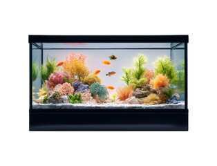 Colorful Tropical Fish Tank Aquarium with Vibrant Reef Decor  Isolated on Transparent Background