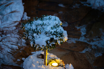 Snowy winter in an illuminated garden, Almere, Flevoland, Netherlands