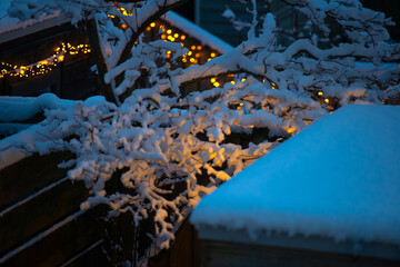 Nature covered in snow in winter, Almere, Flevoland, Netherlands