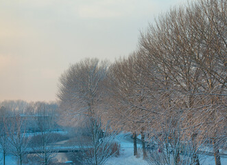 Nature covered in snow in winter, Almere, Flevoland, Netherlands