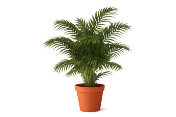 Obraz premium Potted dwarf palm adding fresh green tropical decor to home or office, transparent background