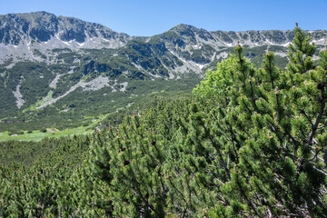 Obraz premium Rila mountain near Granchar Lake, Bulgaria
