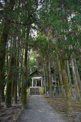 静かな卑弥呼神社