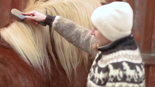 Close view of a woman gently brushing the long mane of her Noriker draft horse outdoors during winter