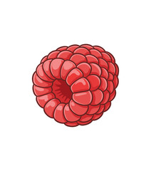 Vibrant red raspberry illustration on white background