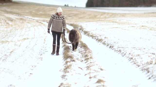 Woman leading a Shetland pony gelding while walking calmly toward the camera across a snowy rural landscape