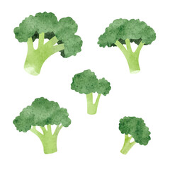 Green broccoli set. Vector watercolor illustration