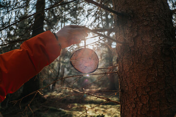 Wildlife care, feeding birds in winter, nature conservation and outdoor activity concept.Hand hanging bird feeder on tree branch in forest with sunlight in the background. 