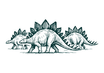 Stegosaurus hand drawn simple sketch vector illustration