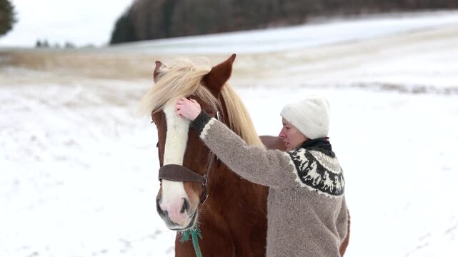 Woman gently stroking a Noriker gelding on the forehead, showing trust, companionship and calm horsemanship in winter