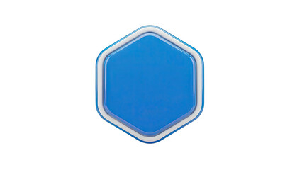 Hexagonal Button with Blue and White Layers