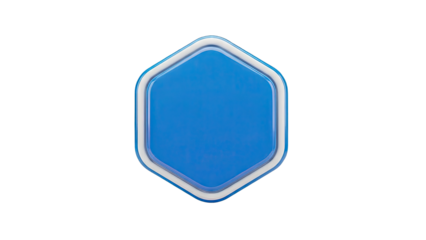 Hexagonal Button with Blue and White Layers