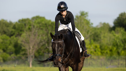 Fototapeta premium Dressage Equestrian riding black tobiano horse 