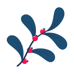 Red berries. Winter plant. Winter branches and leaves. Winter floral elements. Holiday decoration. Vector illustration